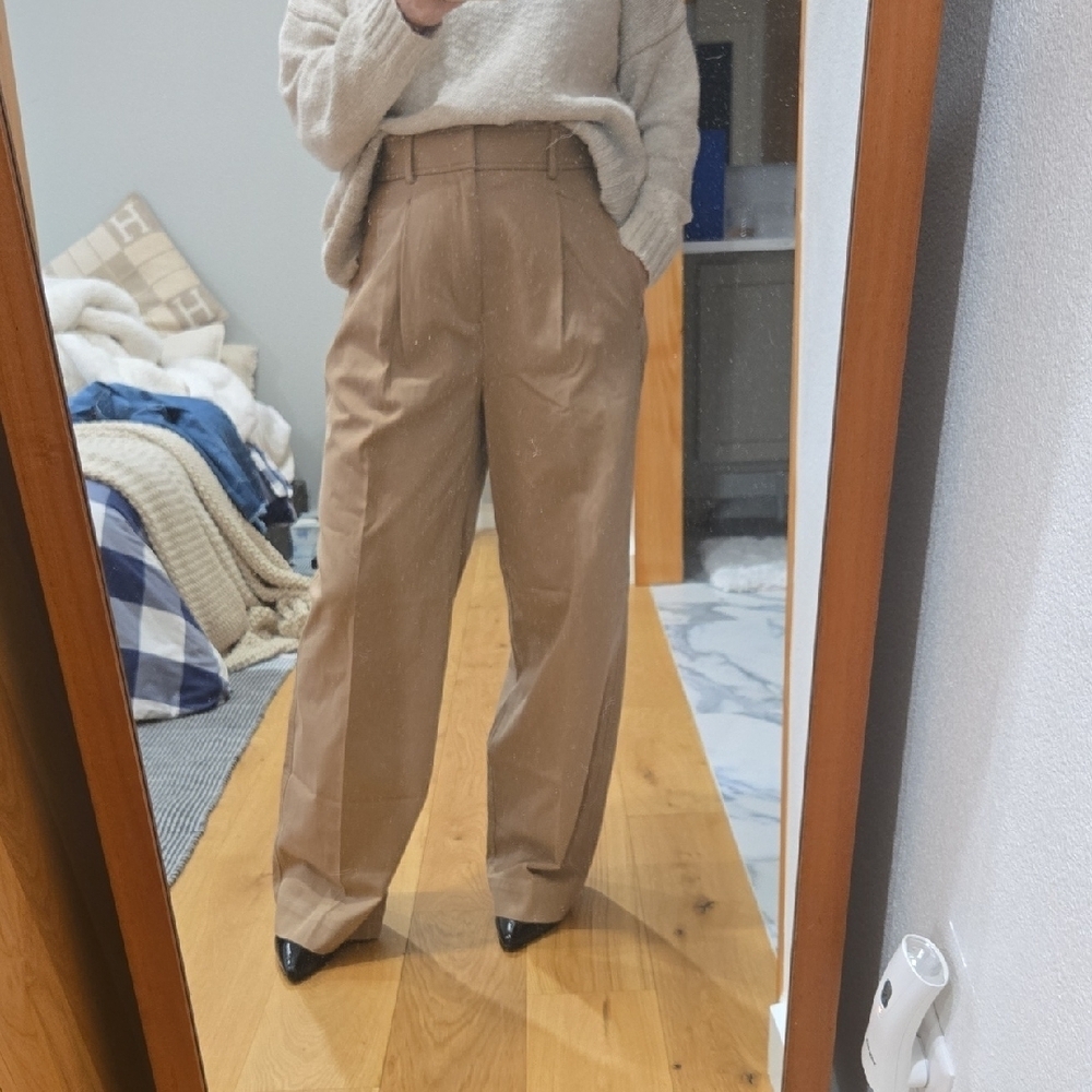 Everlane Wide Leg Pleated Pants, On Trend, Neutral, Size 6, Sophistication
